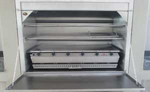 Insert with 6burner gas sizzler